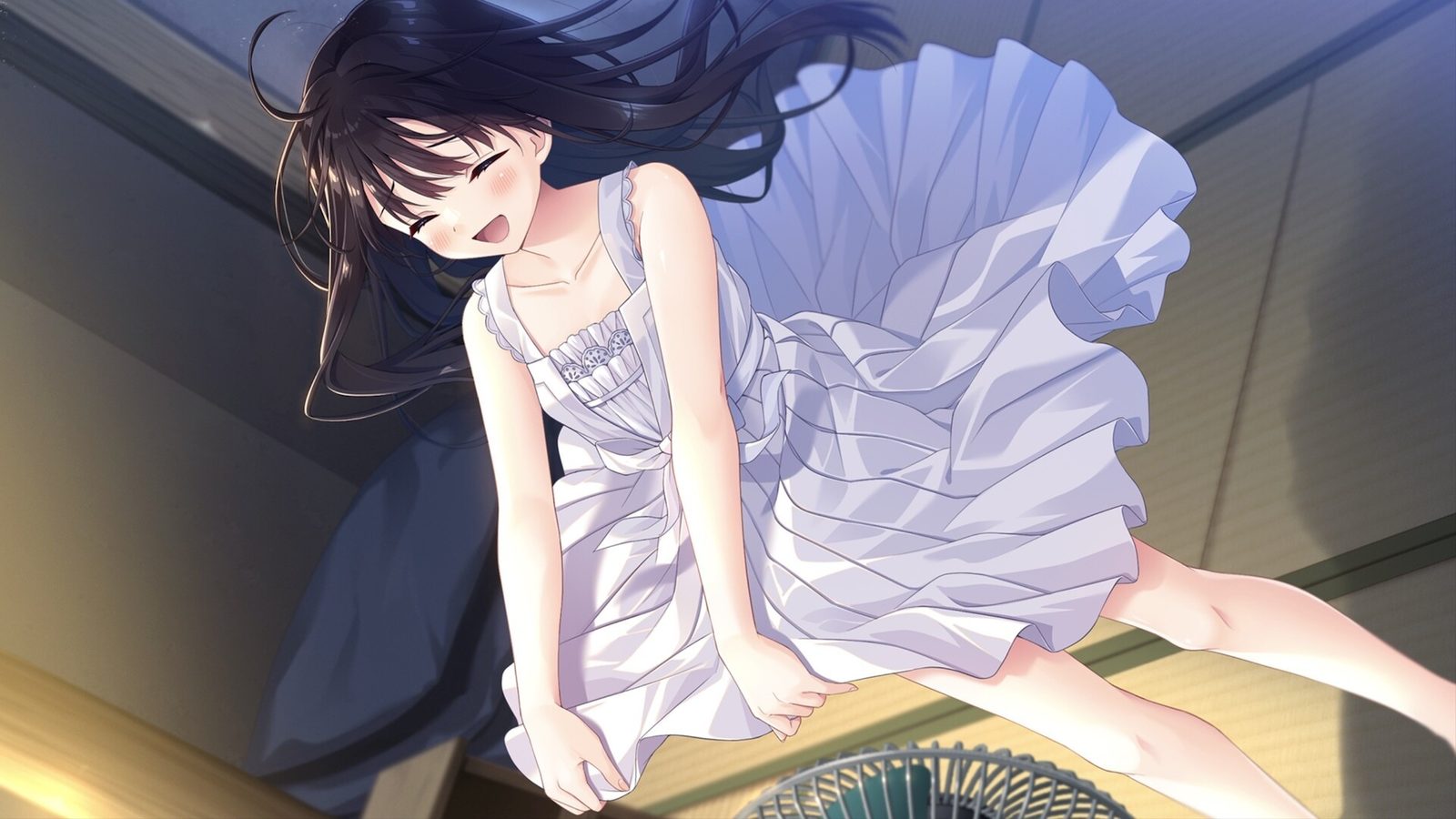 痴情哥哥与病弱妹妹的乡间生活DLC1 章节事件 资料图 8